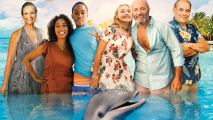 A group of people wearing summer clothes standing in a body of water with a dolphin in front of them.