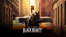 a woman in a cowboy hat is sitting on a black horse, a large city with cars is buzzing in the background